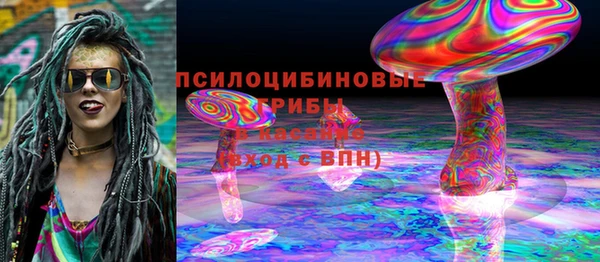 PSILOCYBIN Лихославль