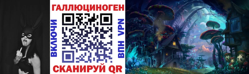 Галлюциногенные грибы Psilocybine cubensis Юрьевец